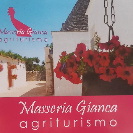 Masseria Gianca 奇斯泰尼诺 外观 照片