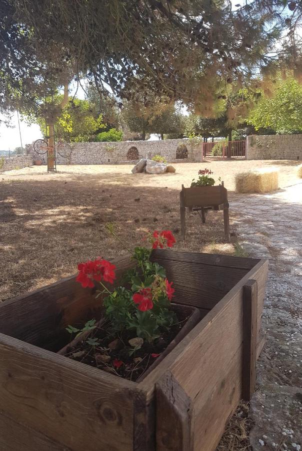 Masseria Gianca 奇斯泰尼诺 外观 照片
