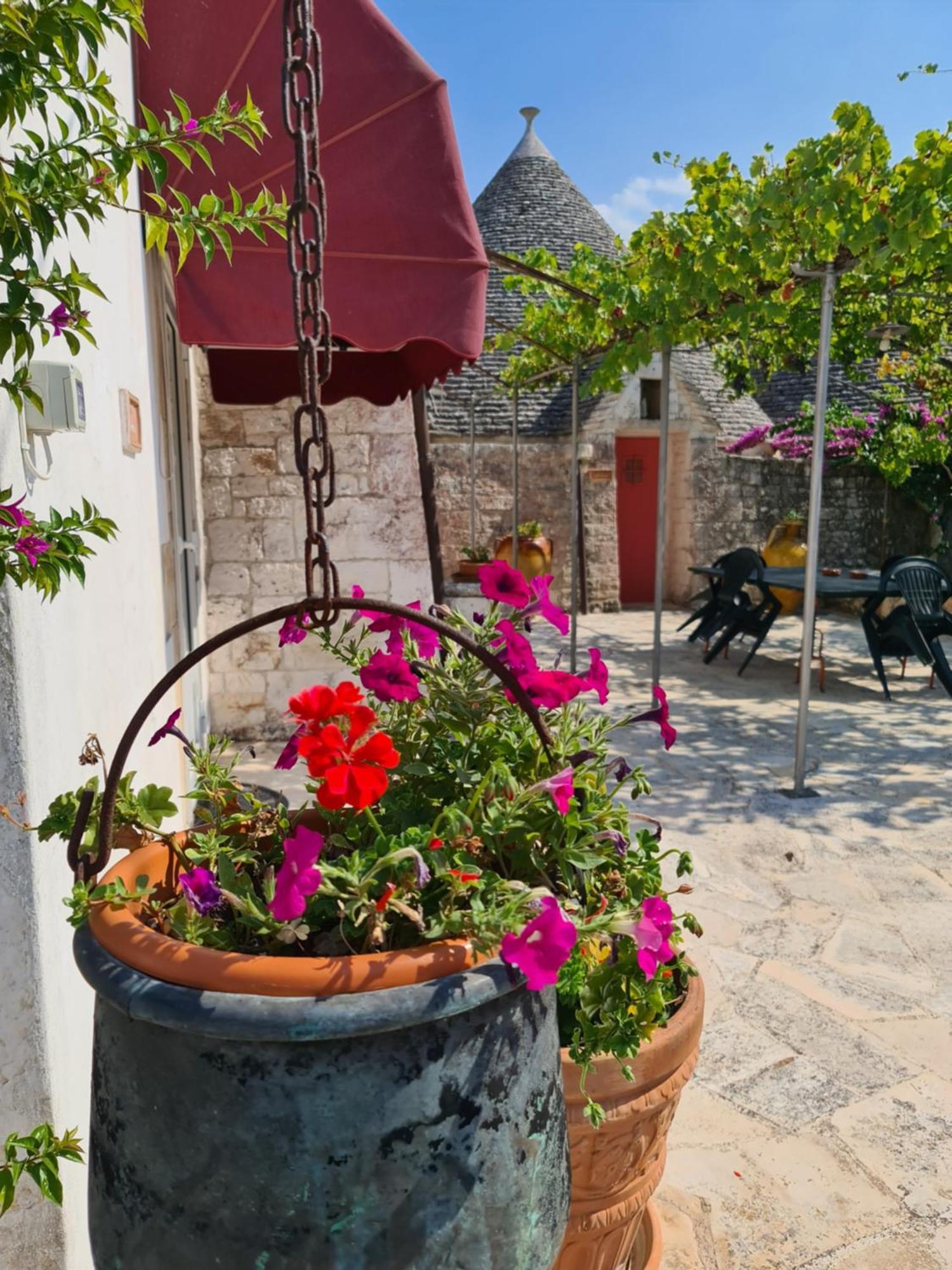 Masseria Gianca 奇斯泰尼诺 外观 照片