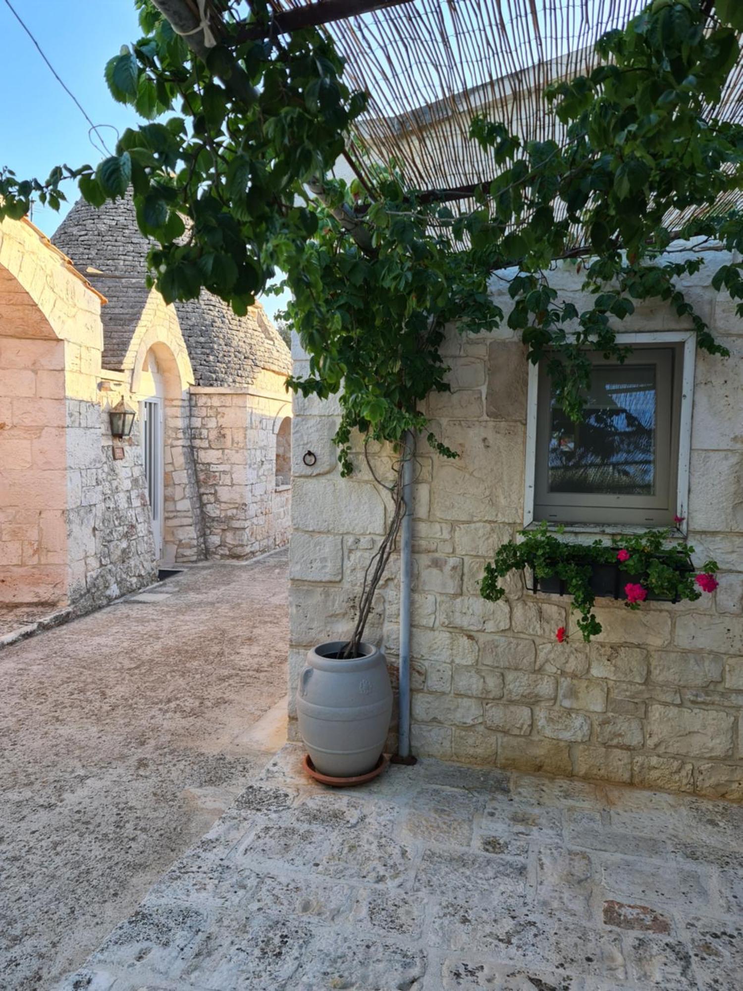 Masseria Gianca 奇斯泰尼诺 外观 照片