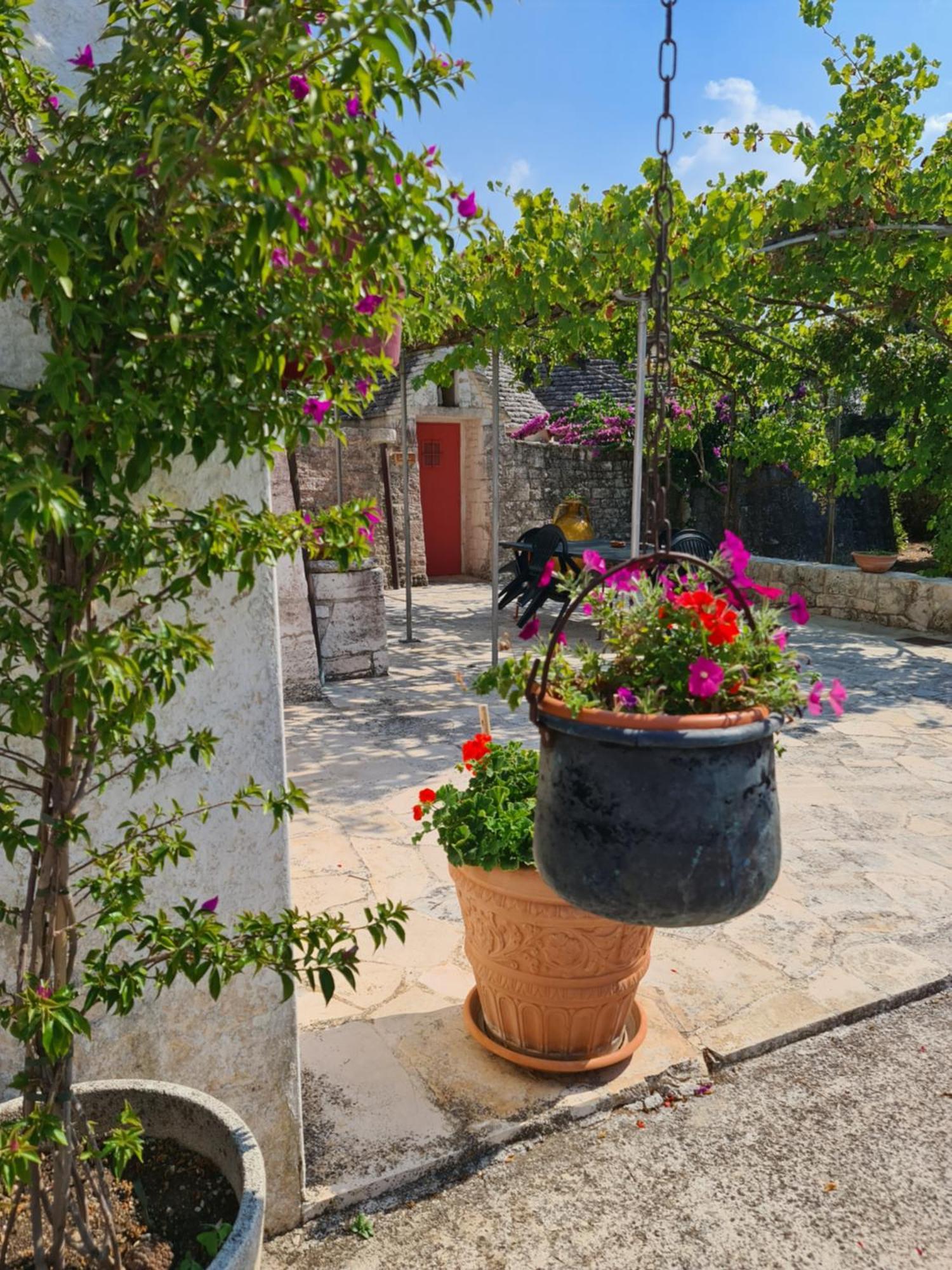 Masseria Gianca 奇斯泰尼诺 外观 照片