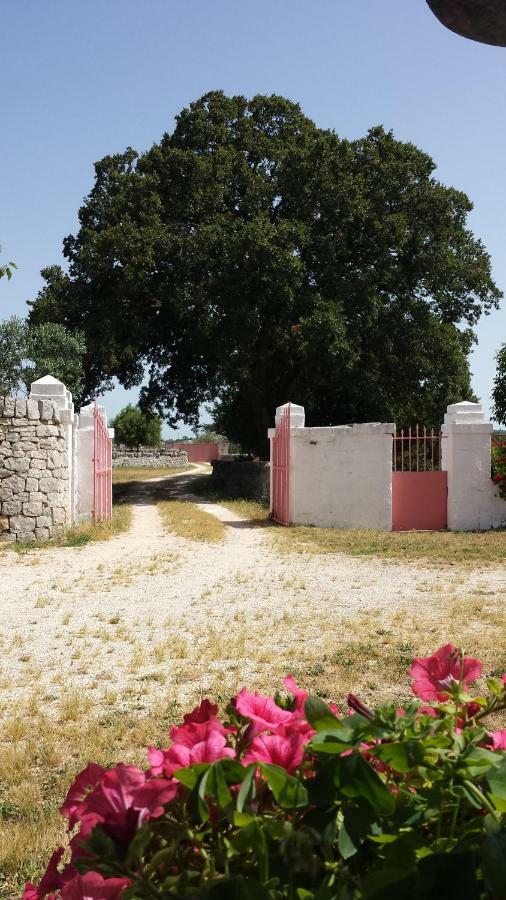 Masseria Gianca 奇斯泰尼诺 外观 照片