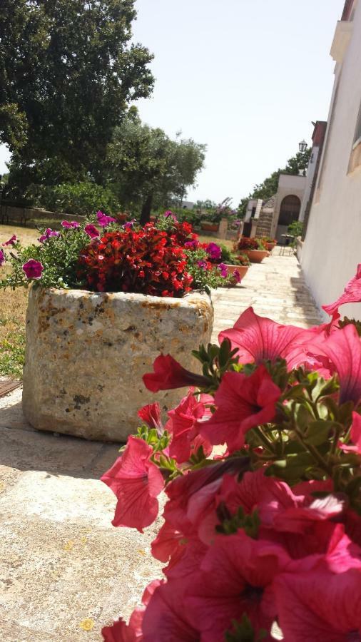Masseria Gianca 奇斯泰尼诺 外观 照片
