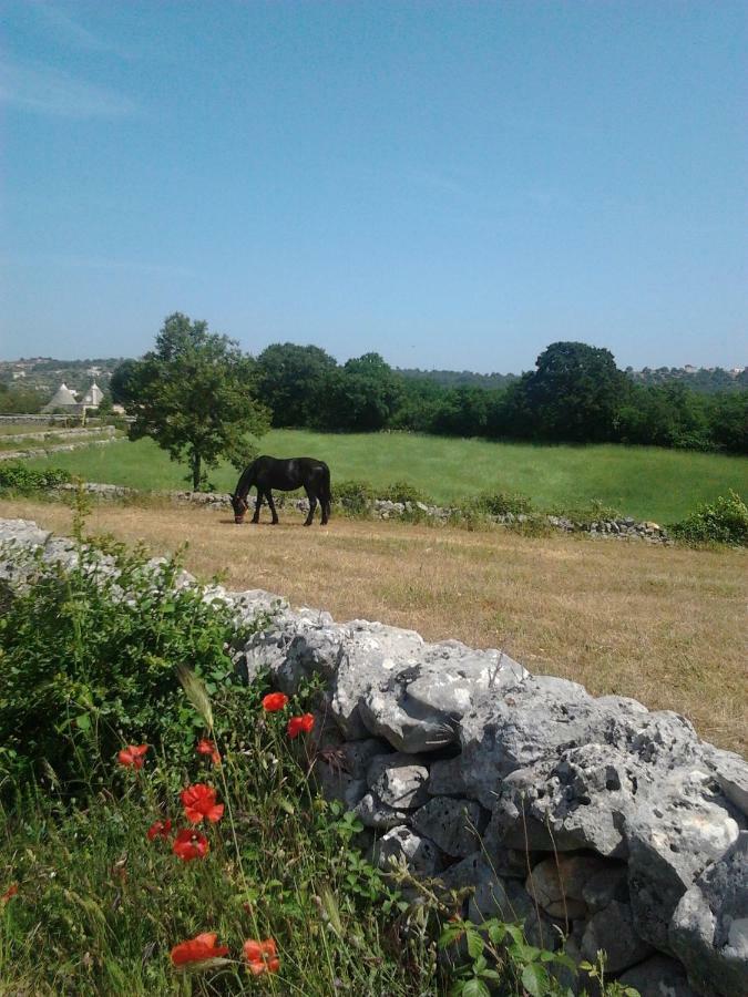 Masseria Gianca 奇斯泰尼诺 外观 照片