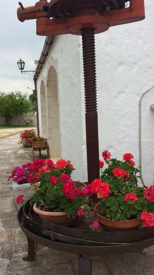 Masseria Gianca 奇斯泰尼诺 外观 照片